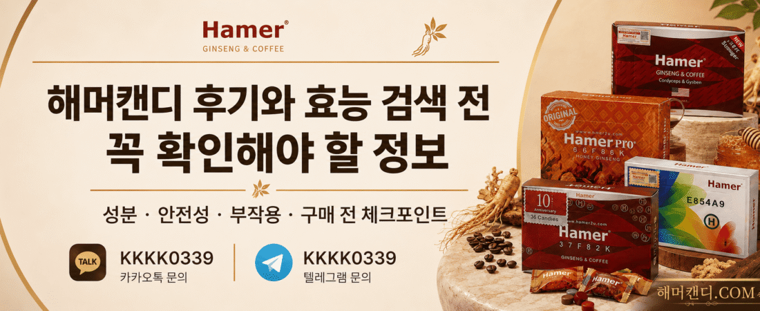 해머캔디 프로젝트 정리 내용 – 26년 7월 20일