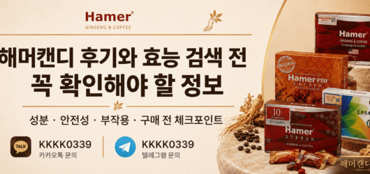 해머캔디 프로젝트 정리 내용 – 26년 7월 20일